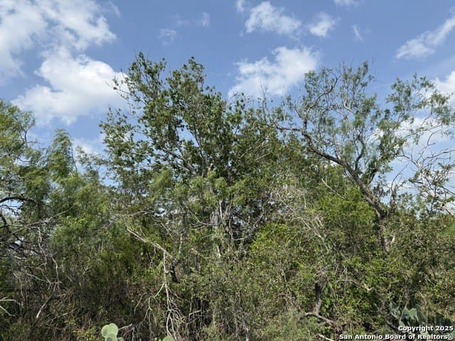 11.5 acres in Gonzales County - photo 10