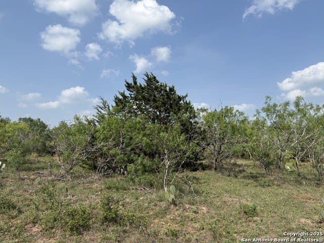 11.5 acres in Gonzales County - photo 5
