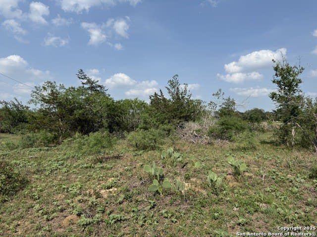 11.5 acres in Gonzales County - photo 13
