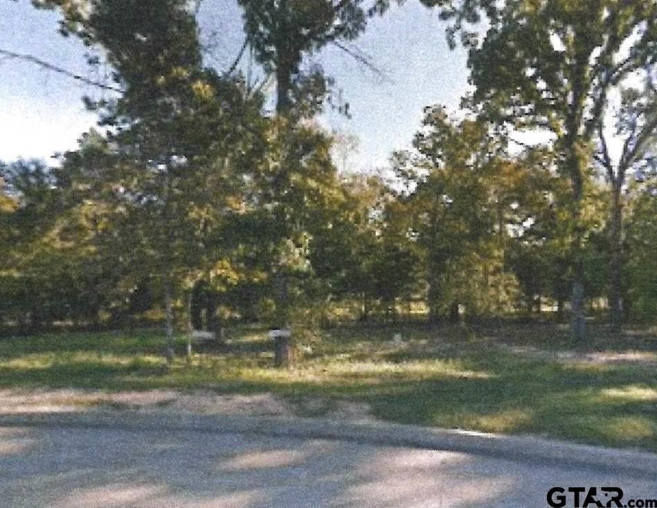 0.46 acres in Smith County - photo 2