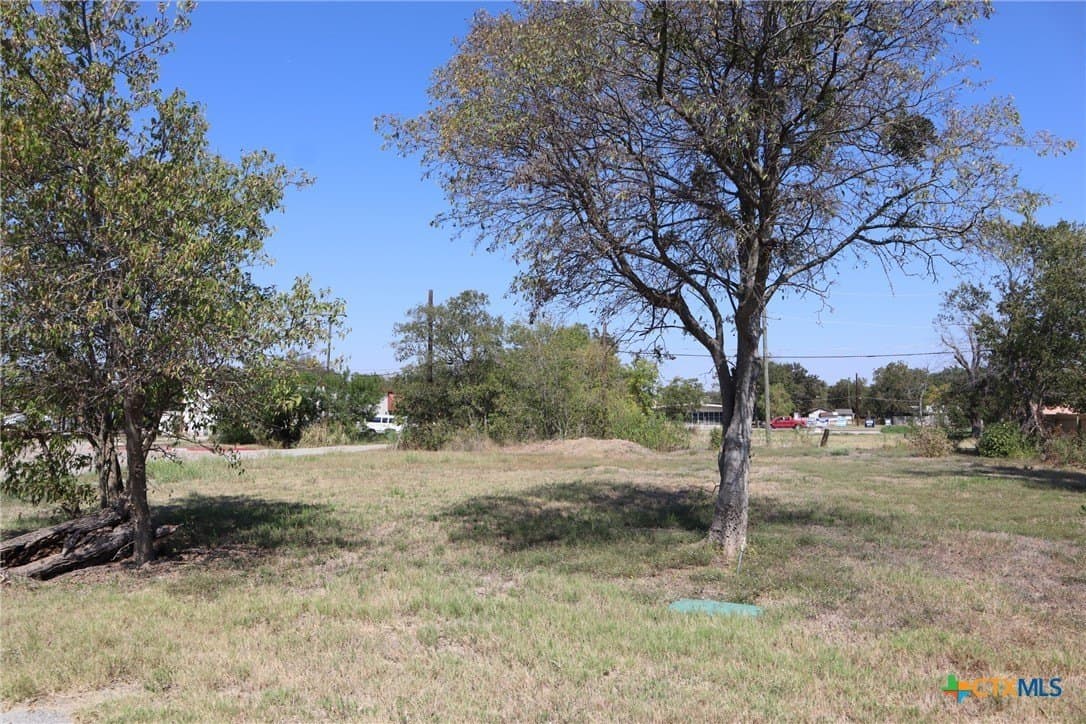 0.09 acres in Williamson County - photo 10