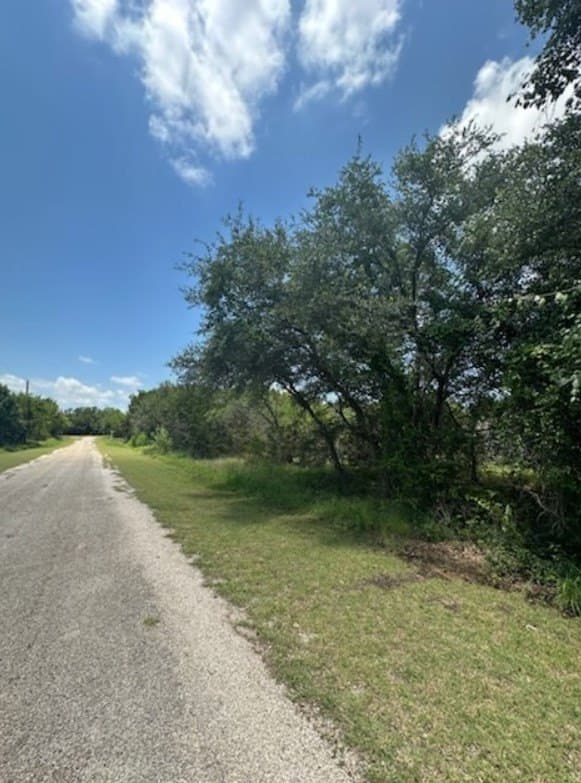 0.58 acres in Hill County - photo 2