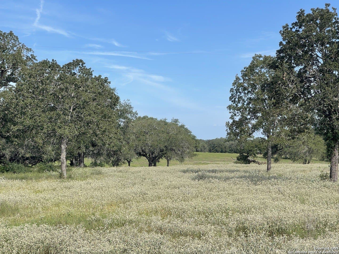 39.9 acres in Gonzales County - photo 7