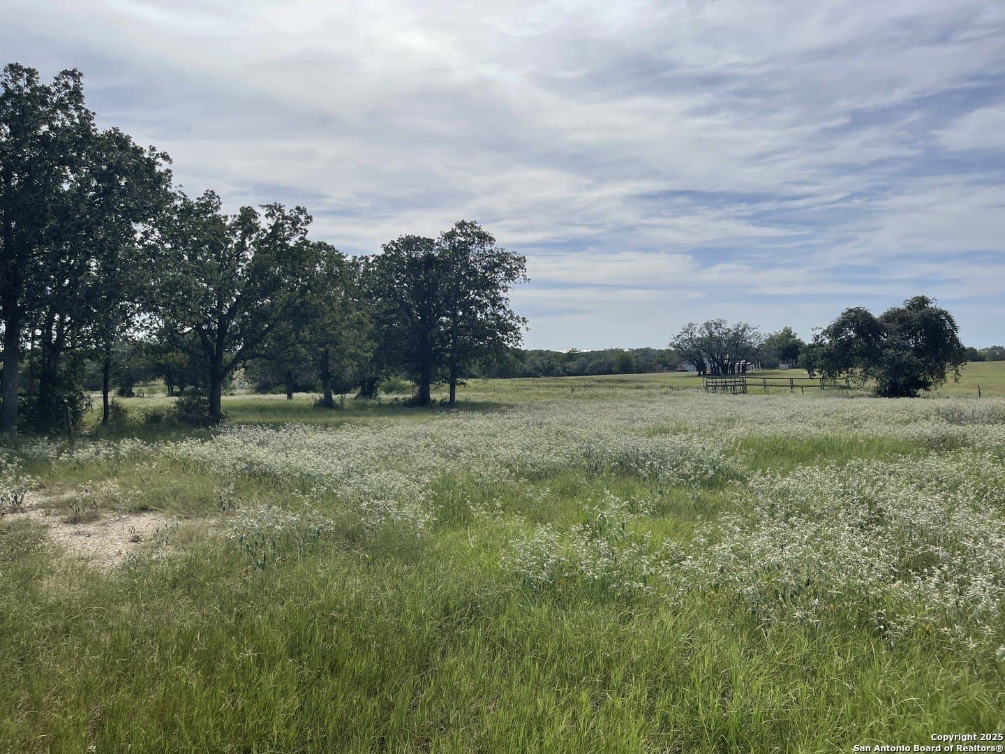 39.9 acres in Gonzales County - photo 9