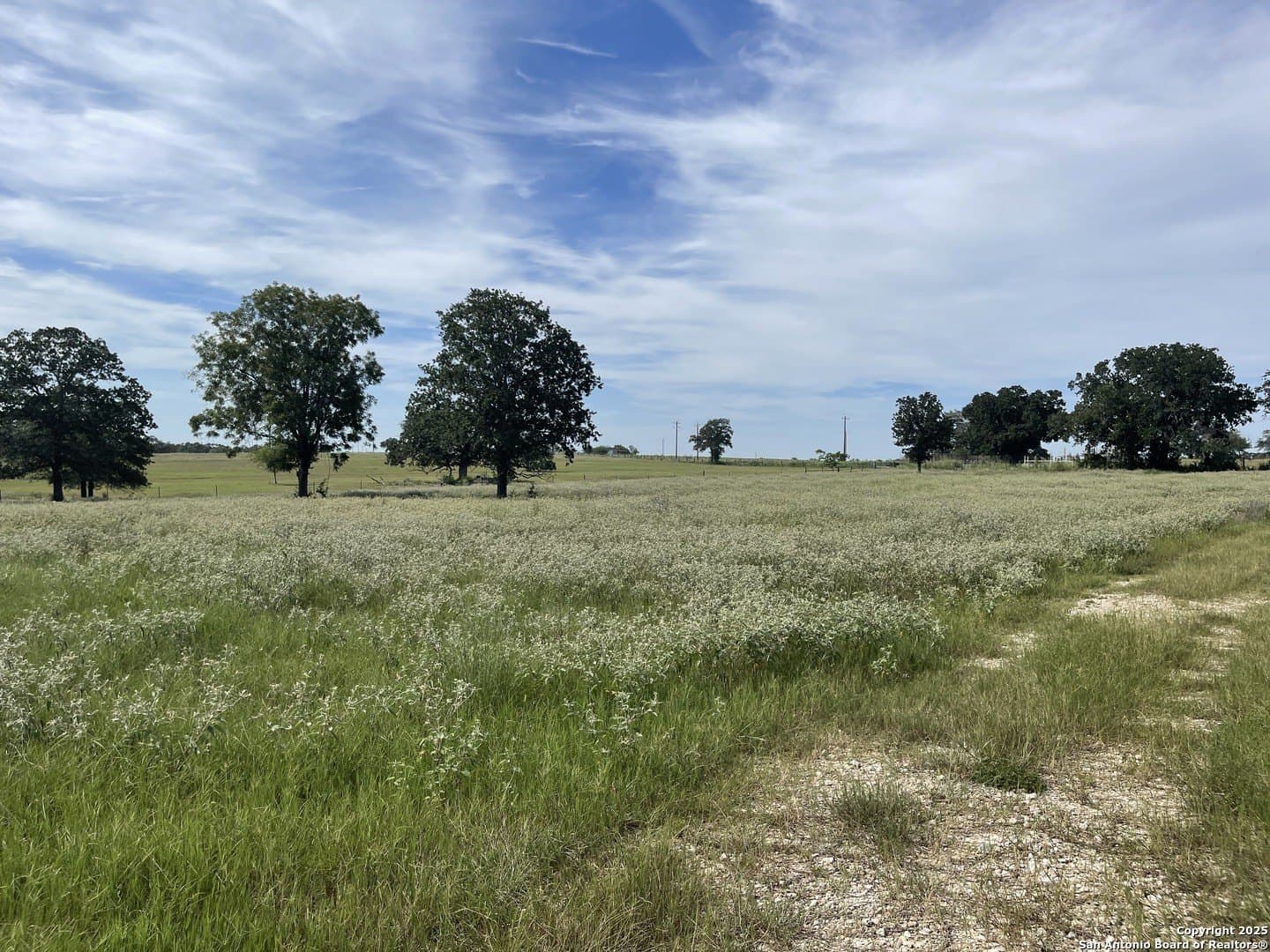 39.9 acres in Gonzales County - photo 3