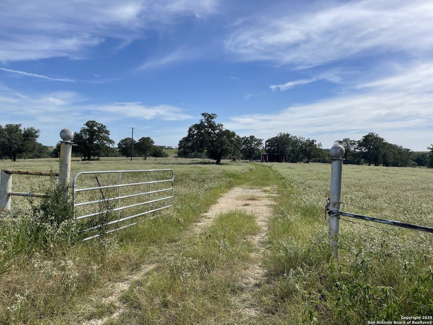 39.9 acres in Gonzales County - photo 4