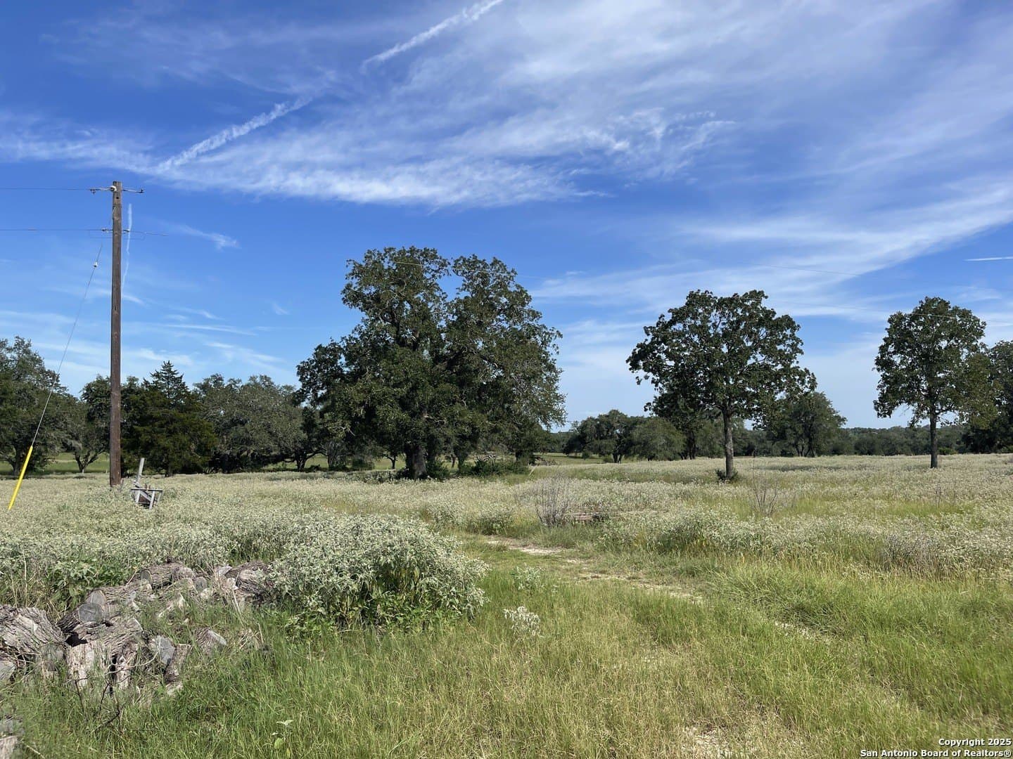 39.9 acres in Gonzales County - photo 8