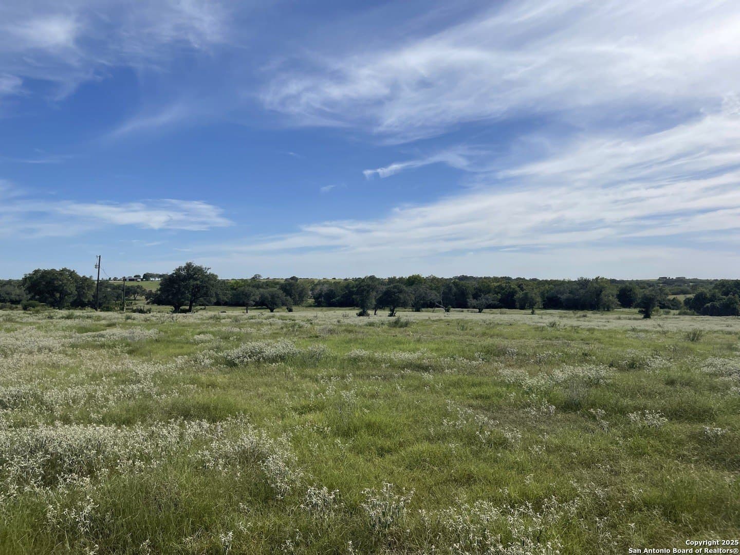 39.9 acres in Gonzales County - photo 5
