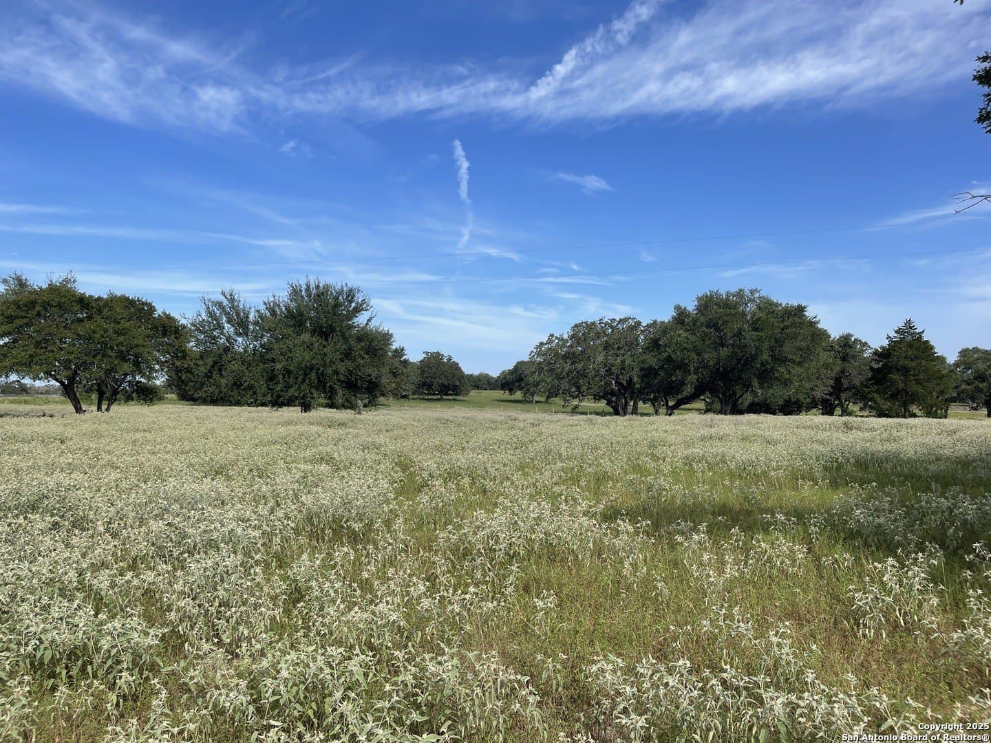 4011 county road 296