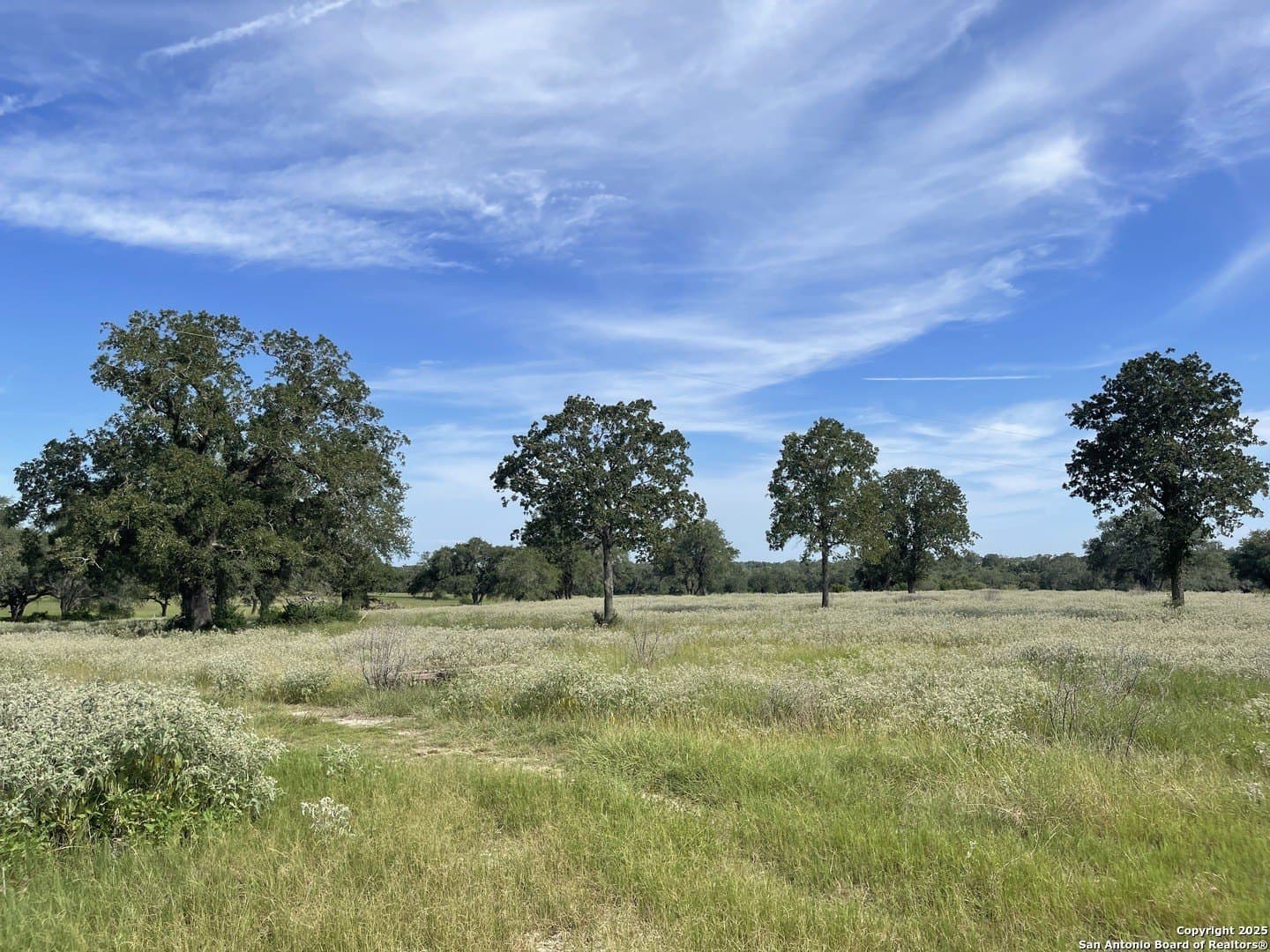 39.9 acres in Gonzales County - photo 2