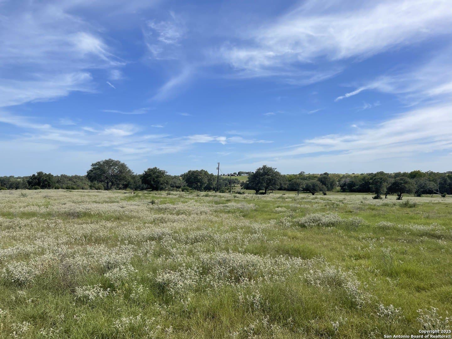 39.9 acres in Gonzales County - photo 6