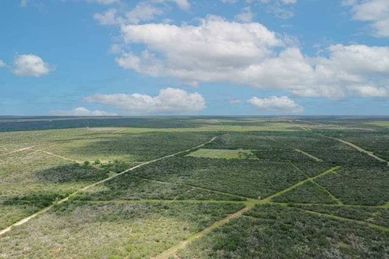 1,010 acres in Duval County - photo 4