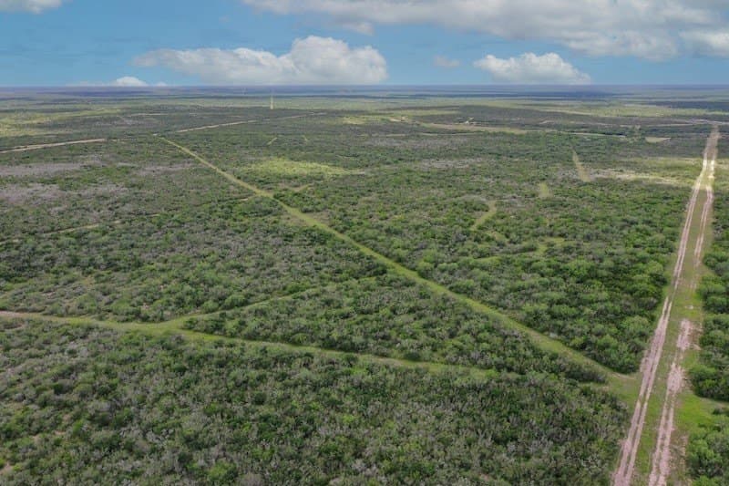1,010 acres in Duval County - photo 26