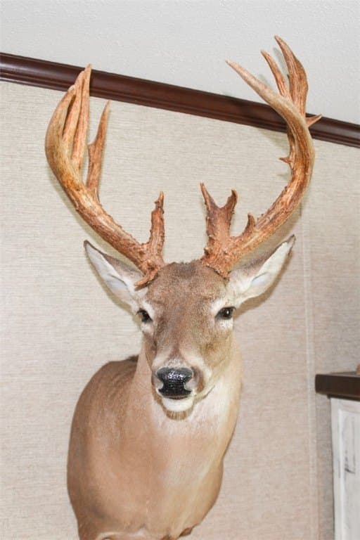 1,010 acres in Duval County - photo 9