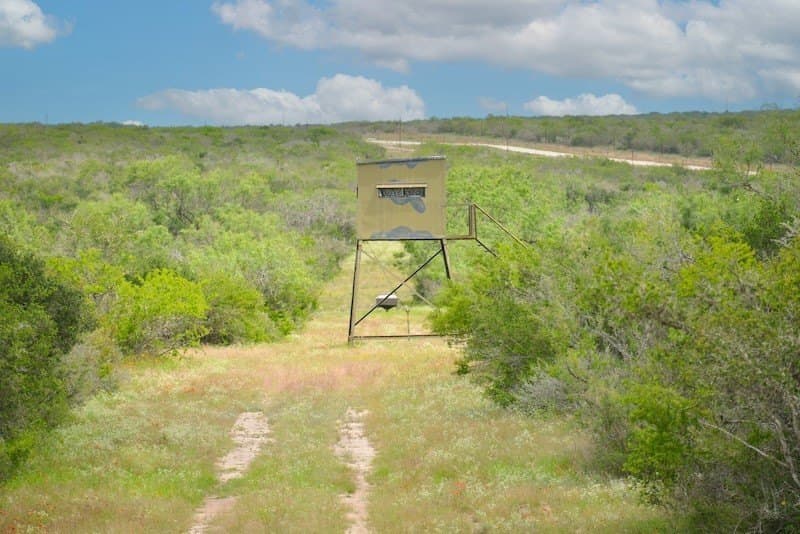 1,010 acres in Duval County - photo 37