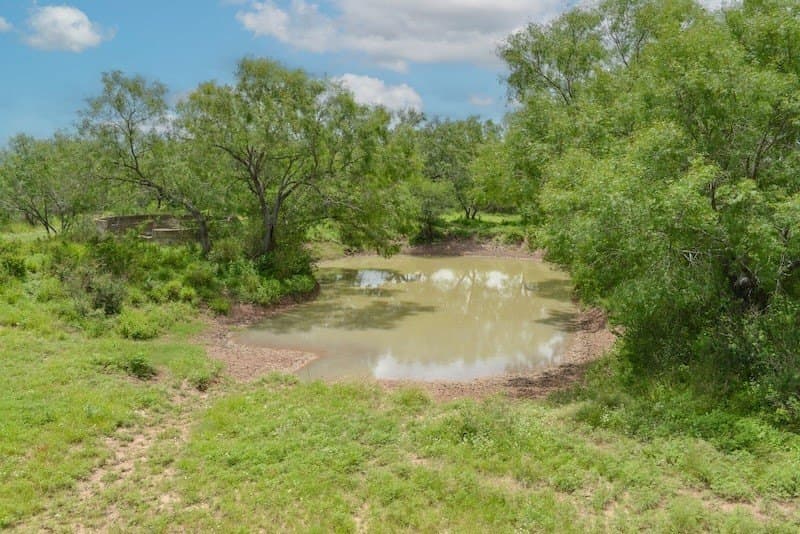1,010 acres in Duval County - photo 38