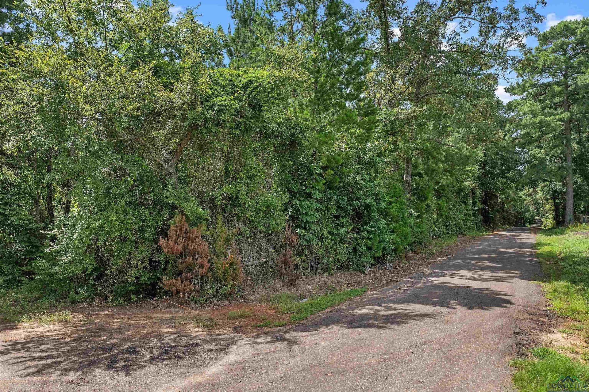 131.72 acres in Rusk County - photo 10