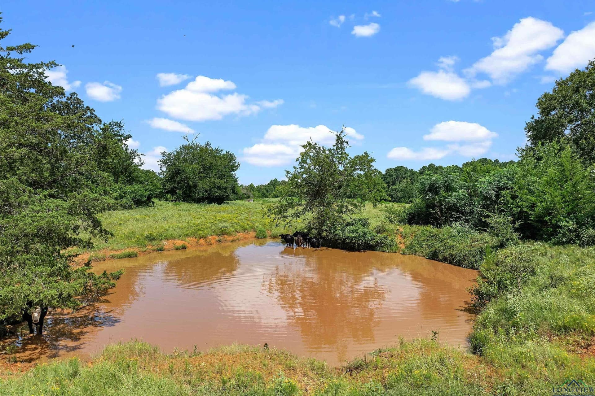 131.72 acres in Rusk County - photo 8