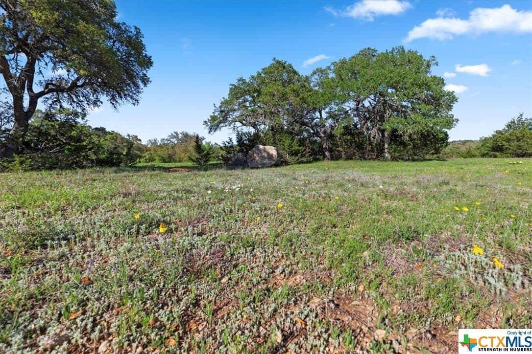 0.27 acres in Blanco County - photo 9