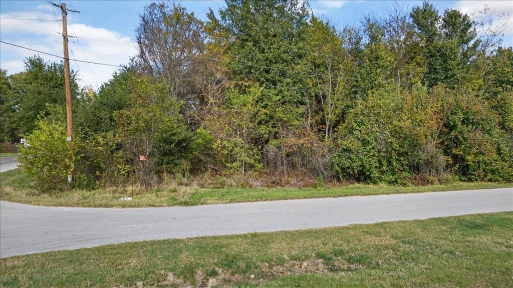 0.25 acres in Henderson County - photo 2