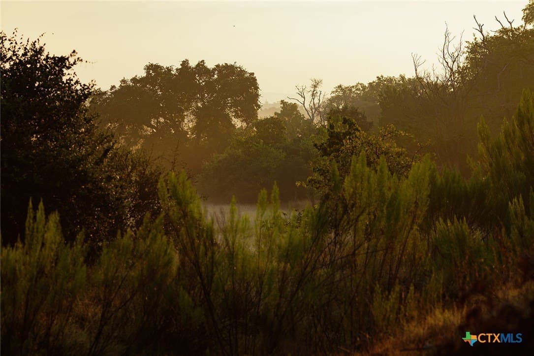 776 acres in Blanco County - photo 31