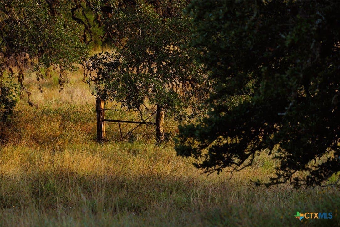 776 acres in Blanco County - photo 32