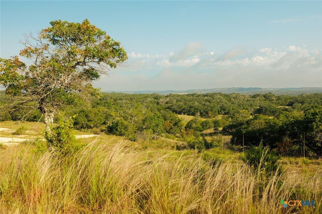 776 acres in Blanco County - photo 37