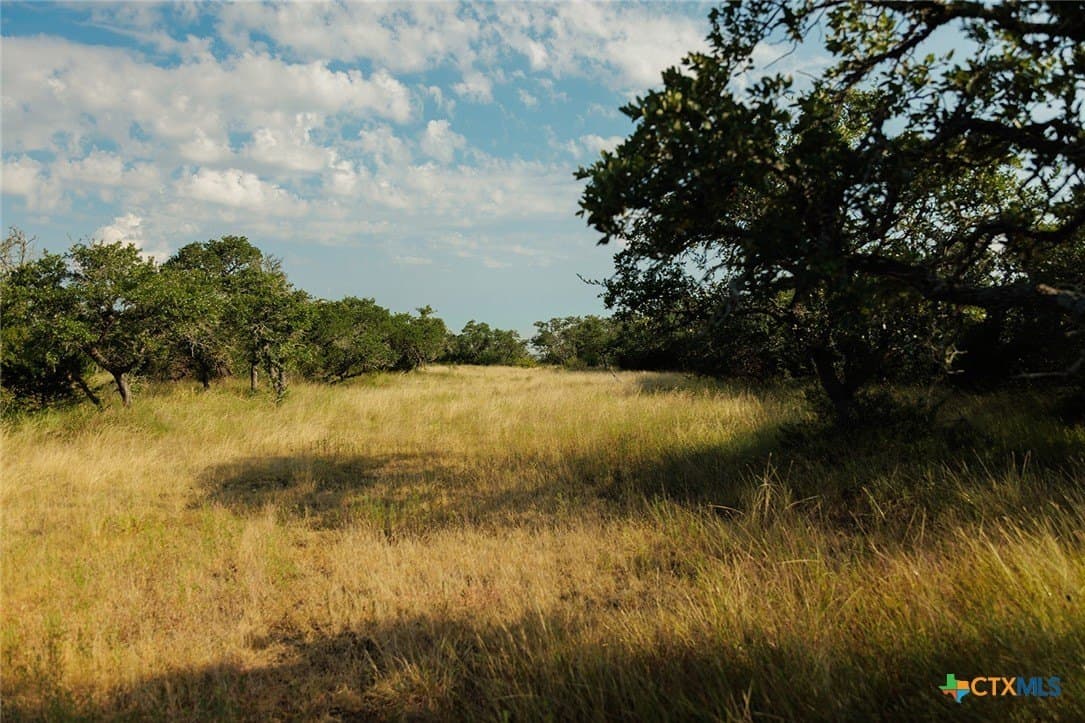 776 acres in Blanco County - photo 42