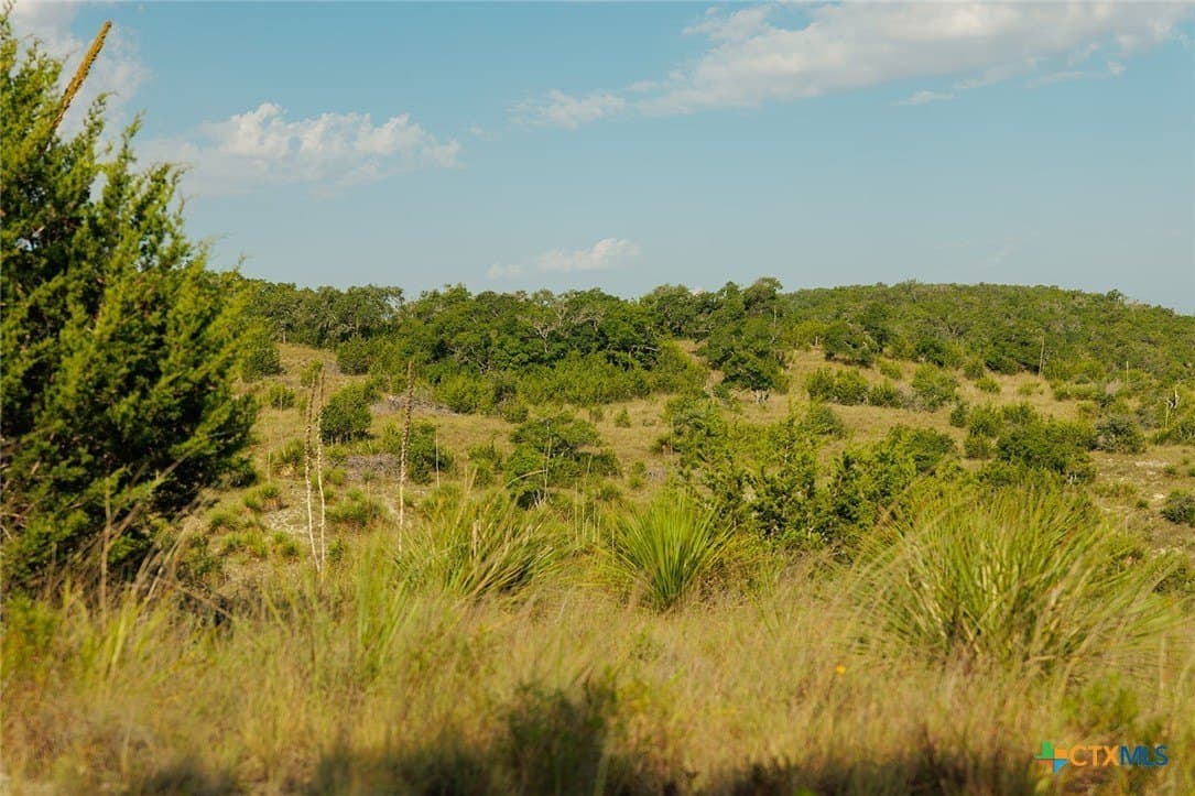 776 acres in Blanco County - photo 40