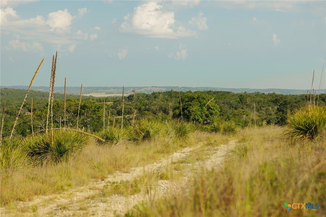 776 acres in Blanco County - photo 39