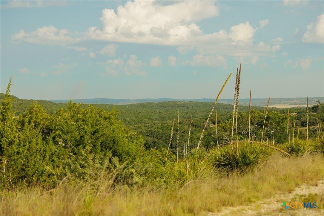 776 acres in Blanco County - photo 38