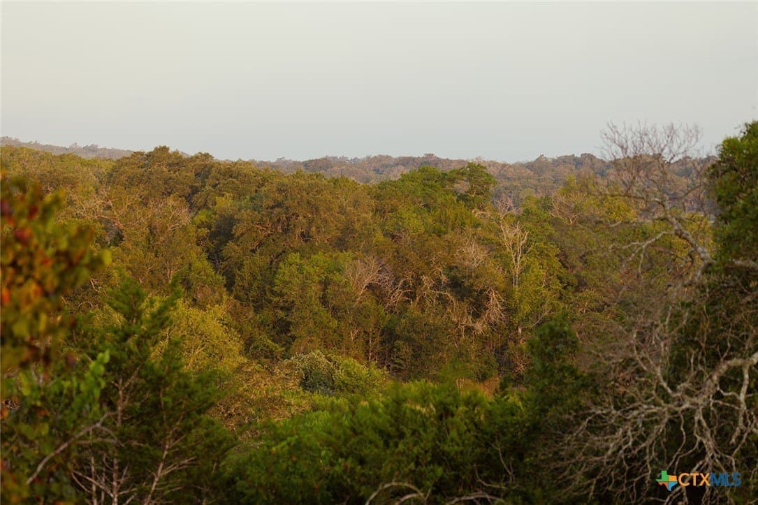776 acres in Blanco County - photo 27