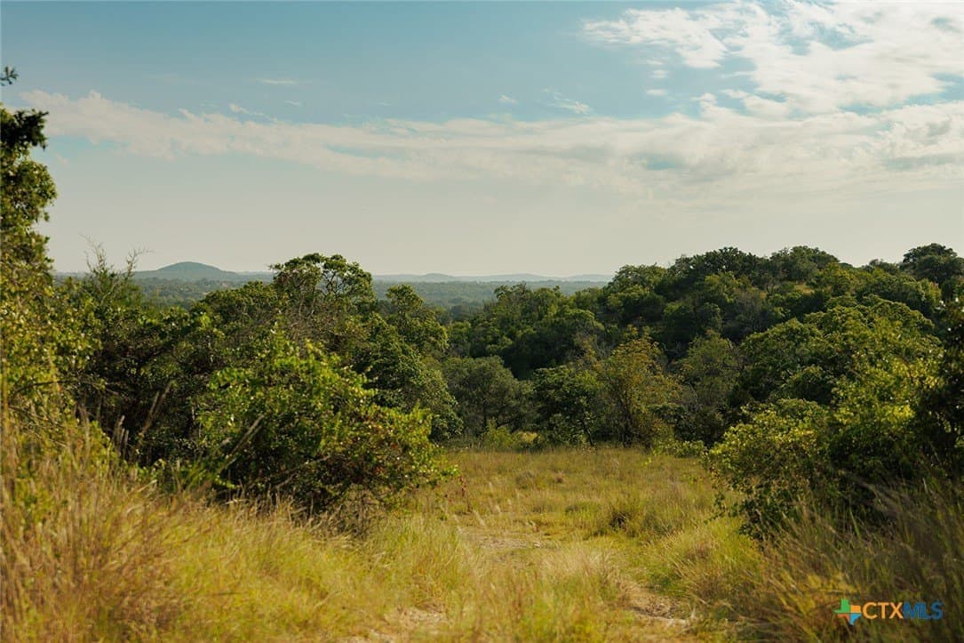 776 acres in Blanco County - photo 46