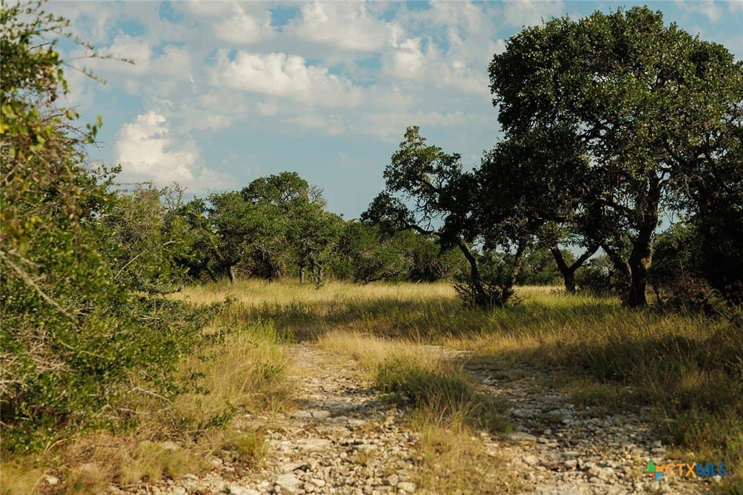 776 acres in Blanco County - photo 41