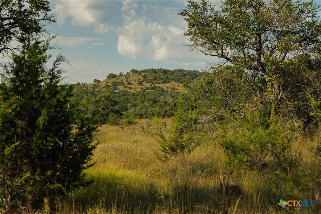 776 acres in Blanco County - photo 45