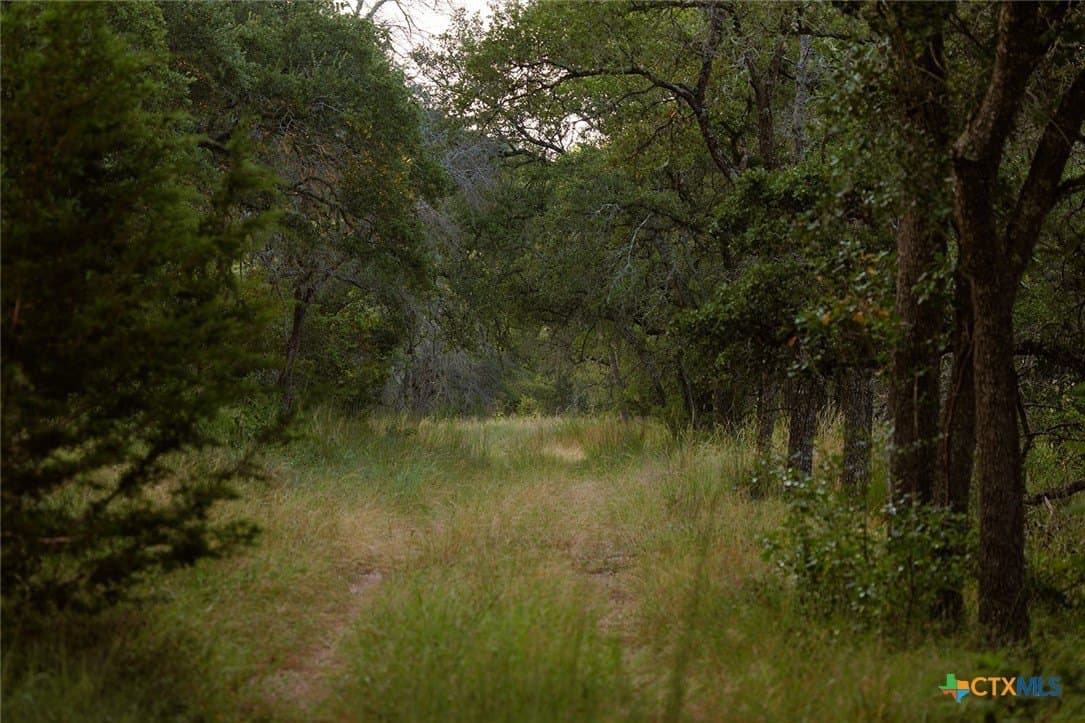 776 acres in Blanco County - photo 34