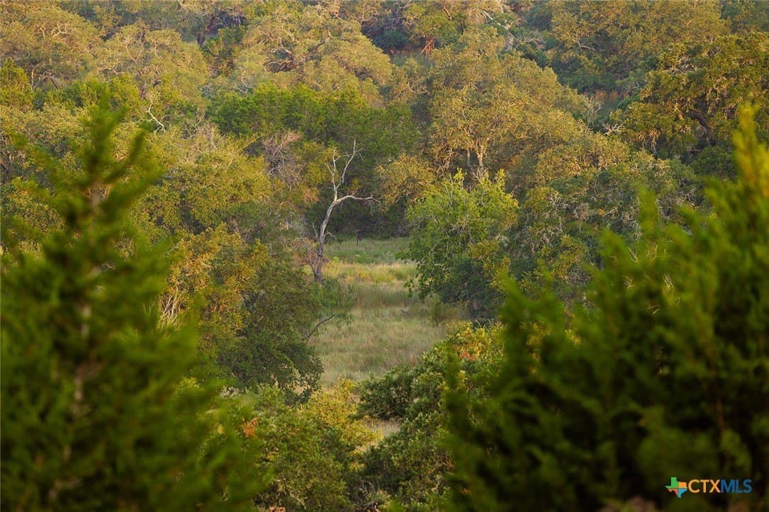776 acres in Blanco County - photo 28
