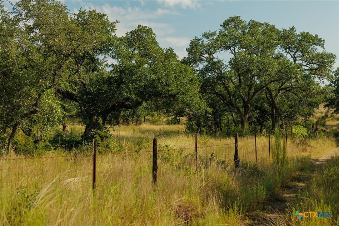 776 acres in Blanco County - photo 44
