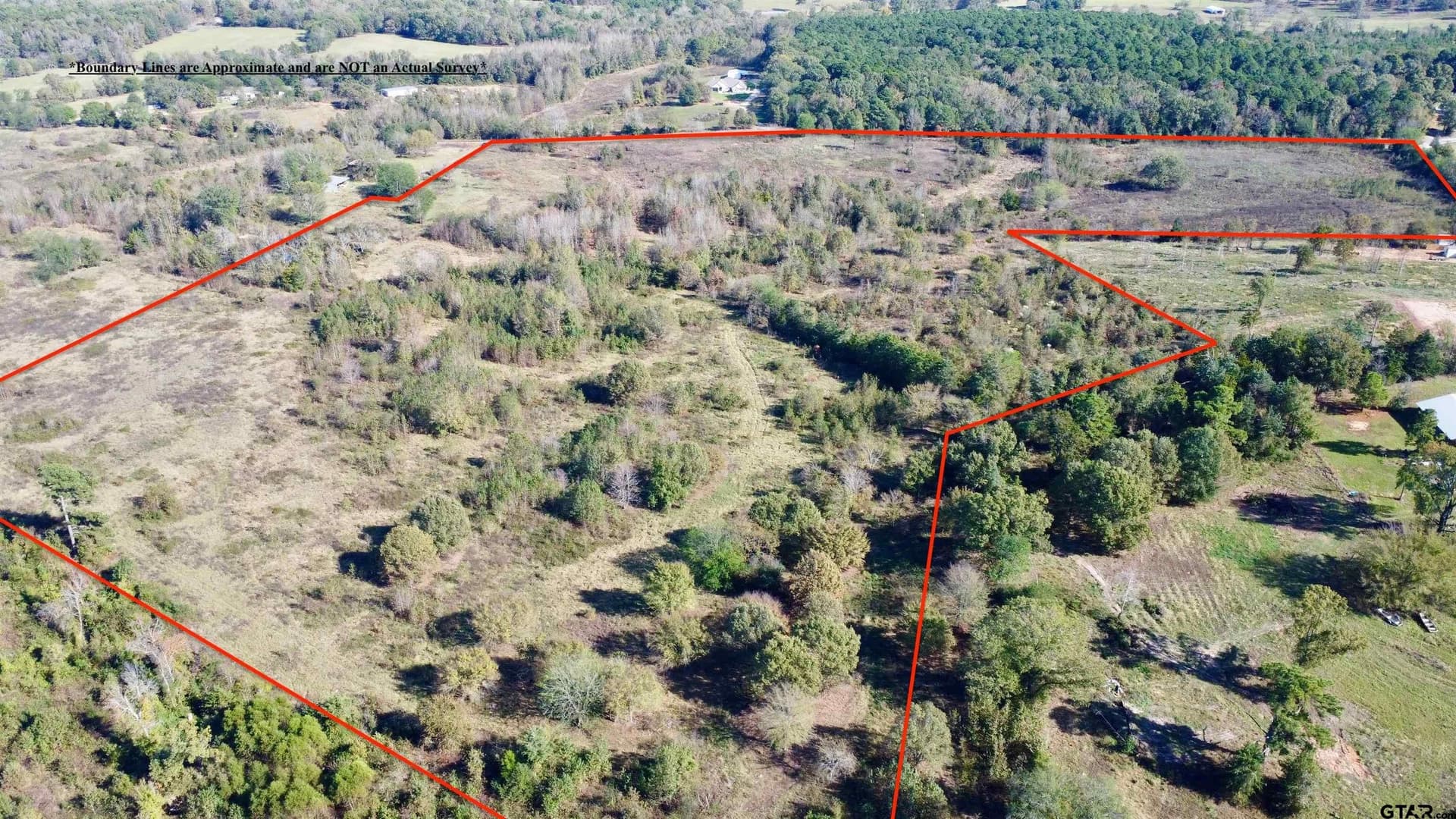 46.91 acres in Titus County - photo 7