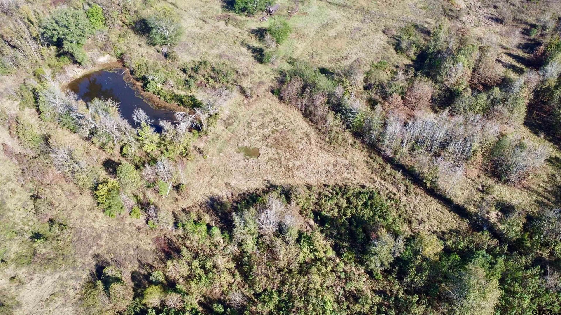 46.91 acres in Titus County - photo 8
