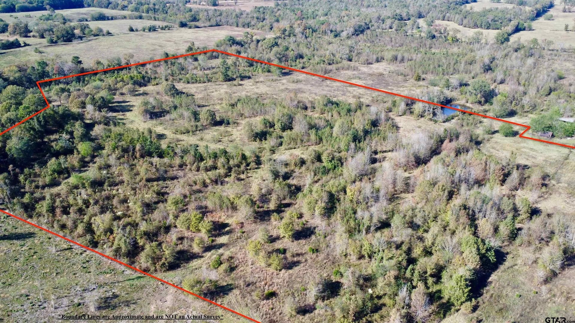 46.91 acres in Titus County - photo 5