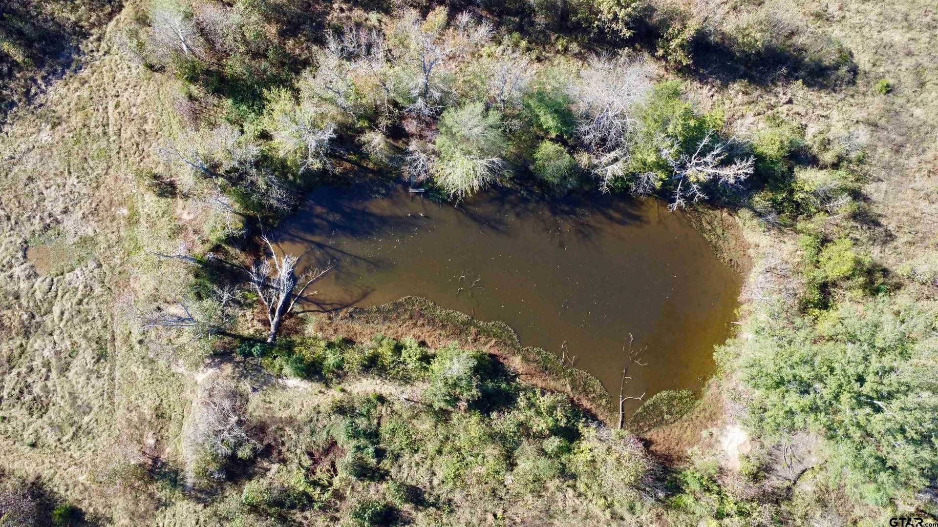 46.91 acres in Titus County - photo 6