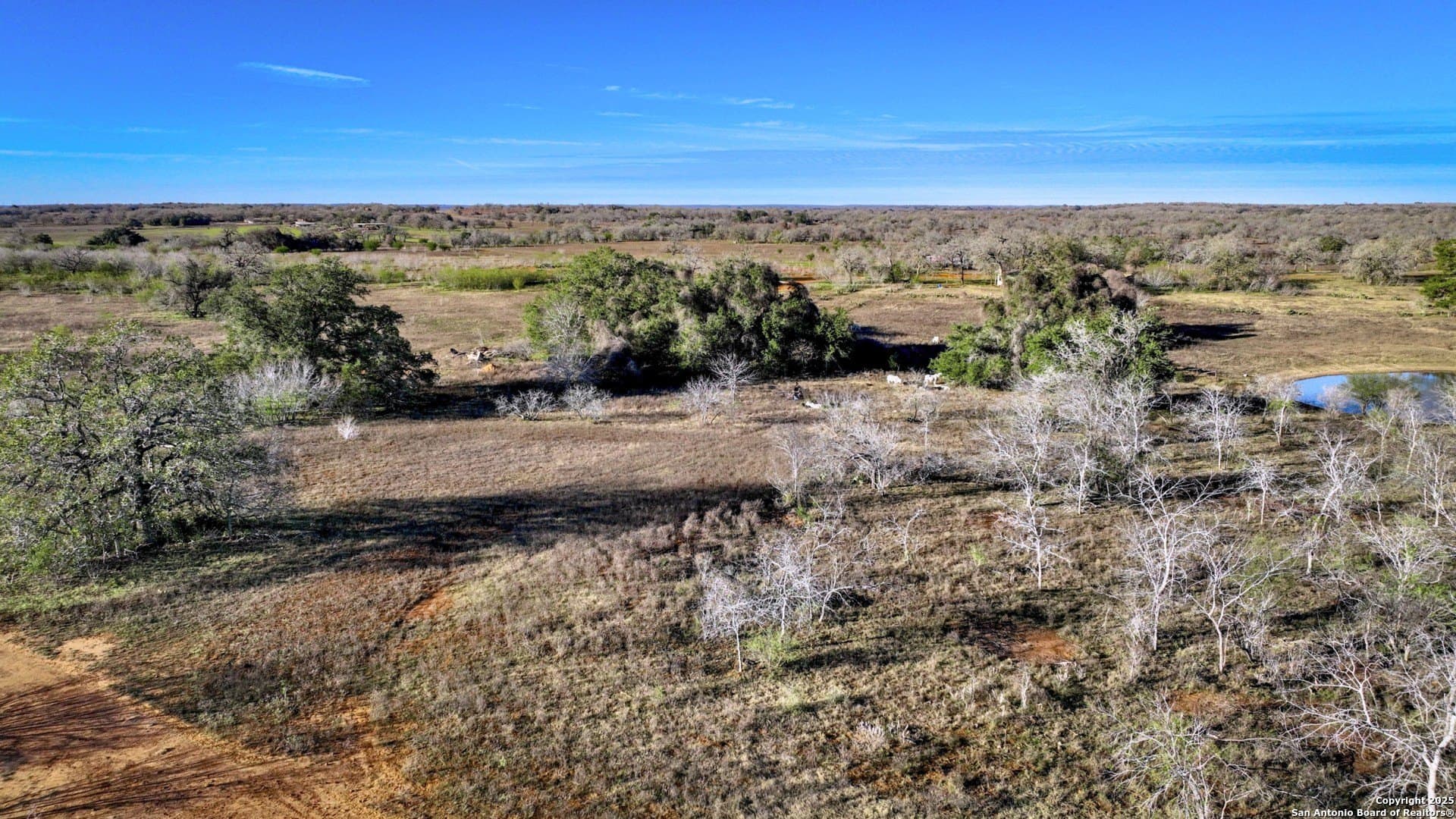 50 acres in Wilson County - photo 6