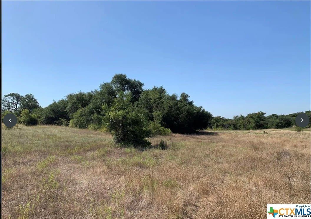 12 acres in Bell County - photo 8