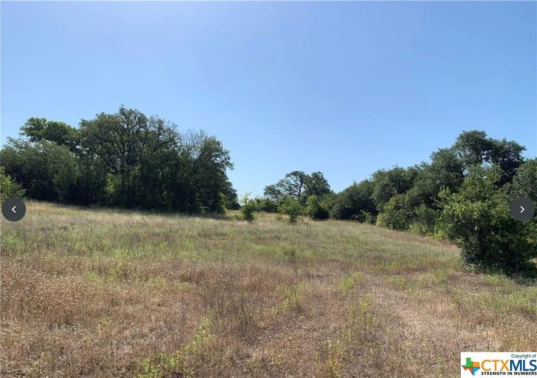 12 acres in Bell County - photo 5