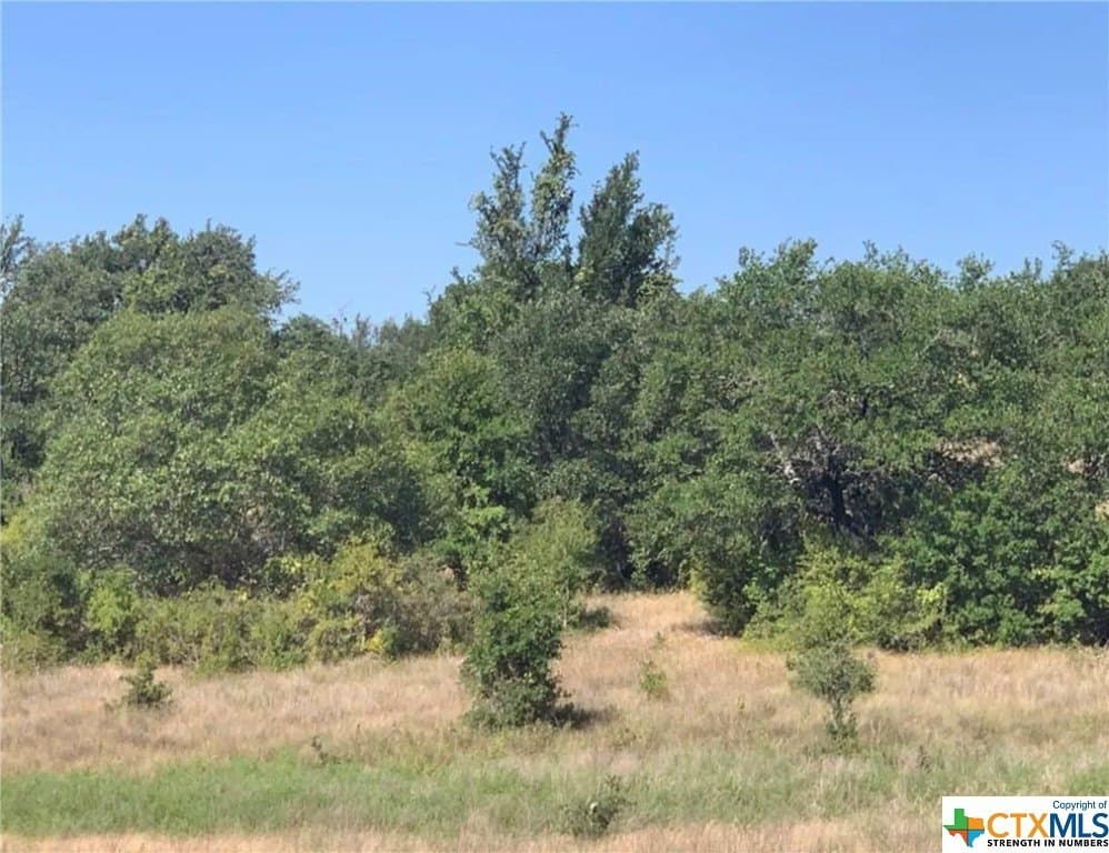12 acres in Bell County - photo 3