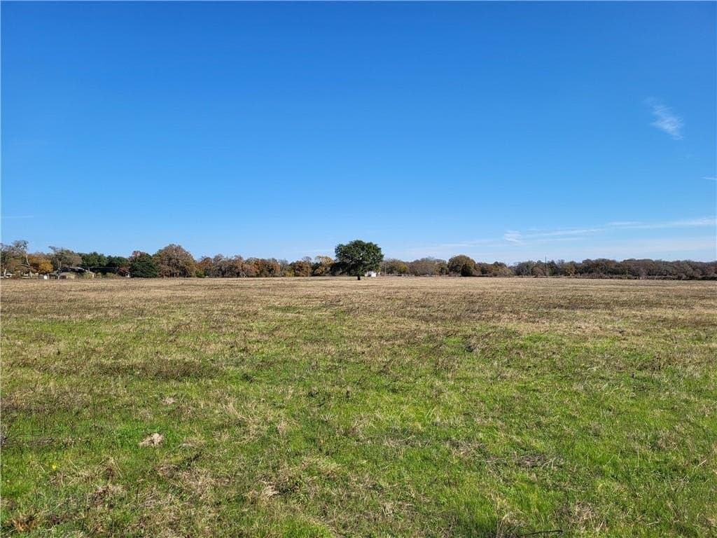 21.75 acres in Limestone County - photo 7