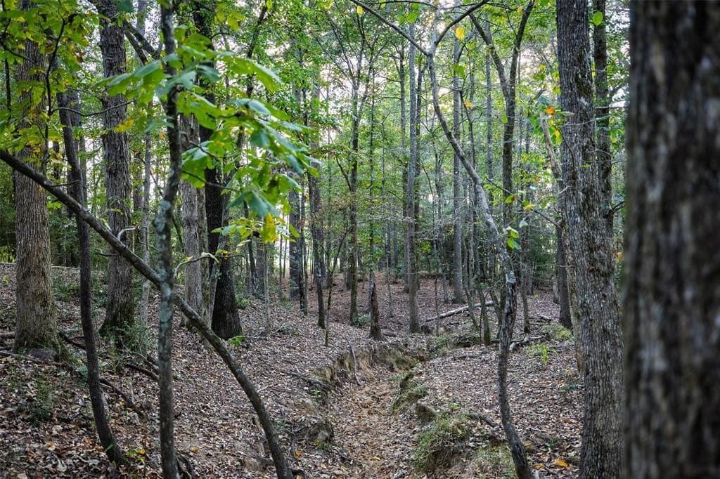 100 acres in Shelby County - photo 31