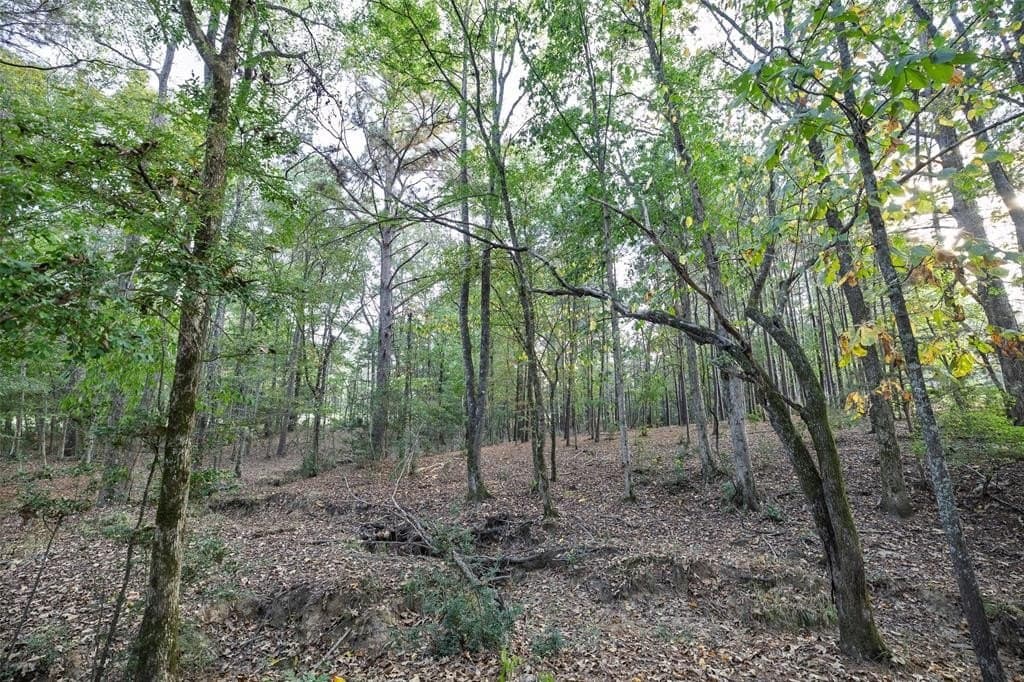 100 acres in Shelby County - photo 30