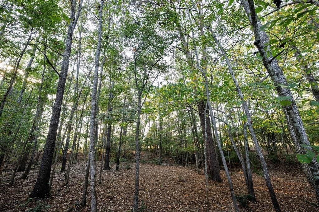 100 acres in Shelby County - photo 28